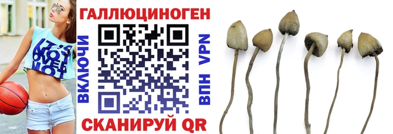 Псилоцибиновые грибы MAGIC MUSHROOMS  Батайск 